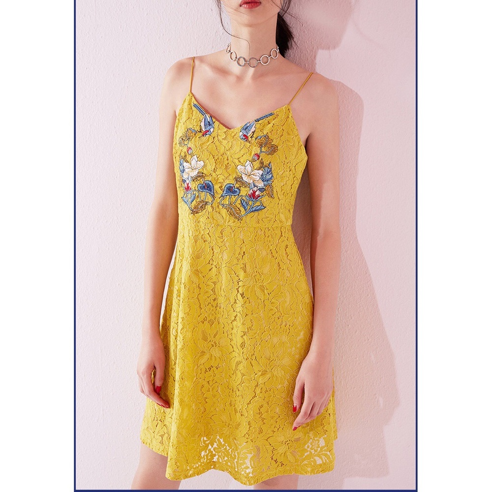 Embroidered Lace Mini Dress
